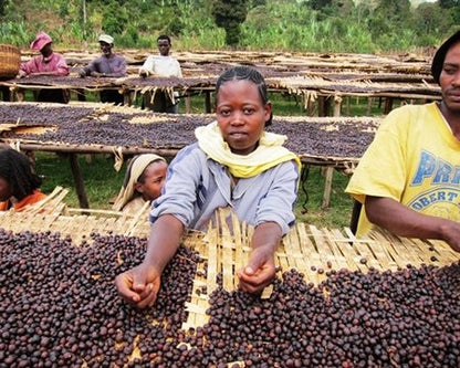 Single Origin Yirgacheffe Ethiopia